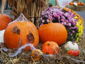 Halloween in Plopsaland (De Panne, België)